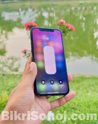 i phone 12 pro